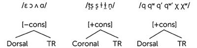 Redeployment in language contact: the case of phonological emphasis